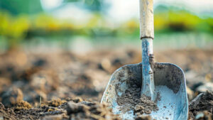Shovel in dirt